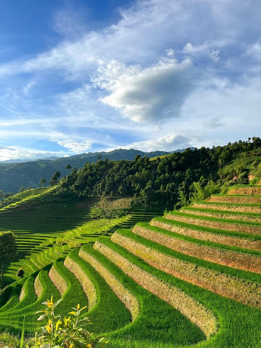 Chiêm ngưỡng Mù Cang Chải, vẻ đẹp thanh bình và hùng vĩ nơi Tây Bắc