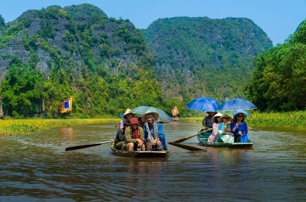 Chiêm ngưỡng mùa lúa chín Ninh Bình vàng óng bên dòng sông Ngô Đồng