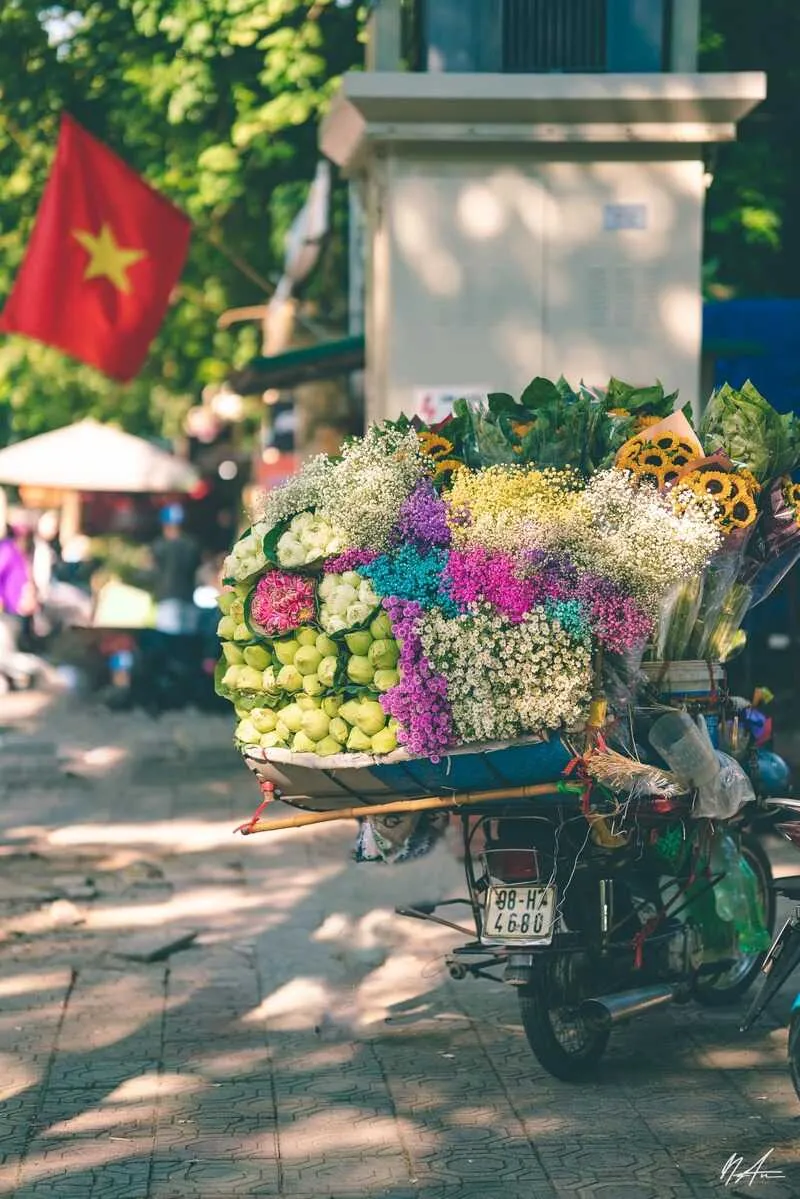 Chiêm ngưỡng mùa thu Hà Nội cùng sắc hoa rực rỡ