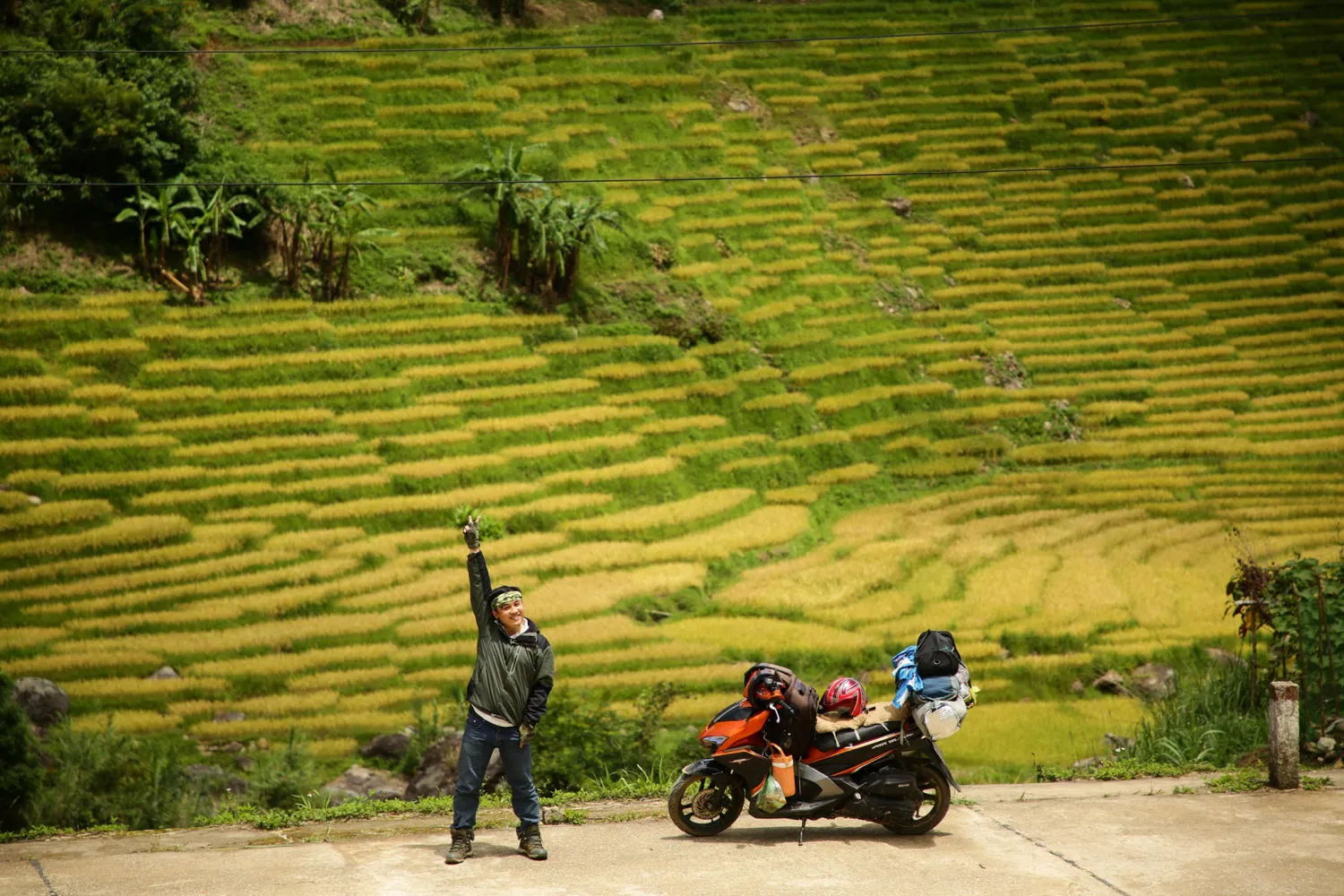 Chiêm ngưỡng Ruộng bậc thang Ngọc Linh đẹp mê hồn trên cao nguyên hùng vĩ