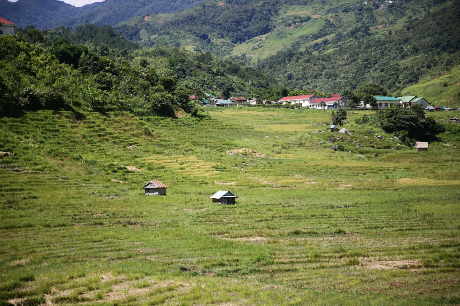 Chiêm ngưỡng Ruộng bậc thang Ngọc Linh đẹp mê hồn trên cao nguyên hùng vĩ