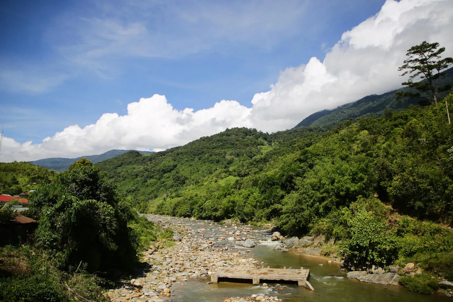 Chiêm ngưỡng Ruộng bậc thang Ngọc Linh đẹp mê hồn trên cao nguyên hùng vĩ