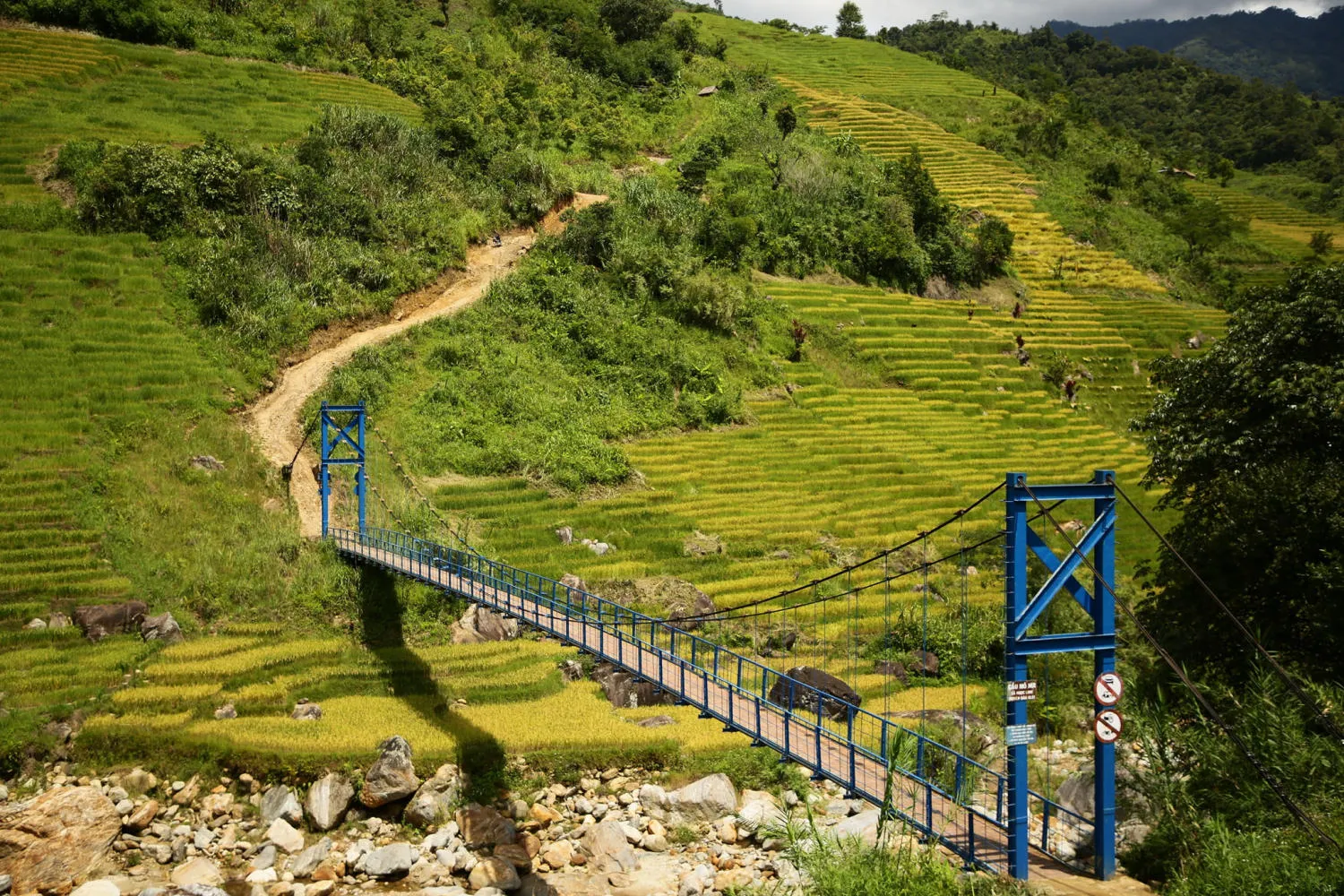 Chiêm ngưỡng Ruộng bậc thang Ngọc Linh đẹp mê hồn trên cao nguyên hùng vĩ