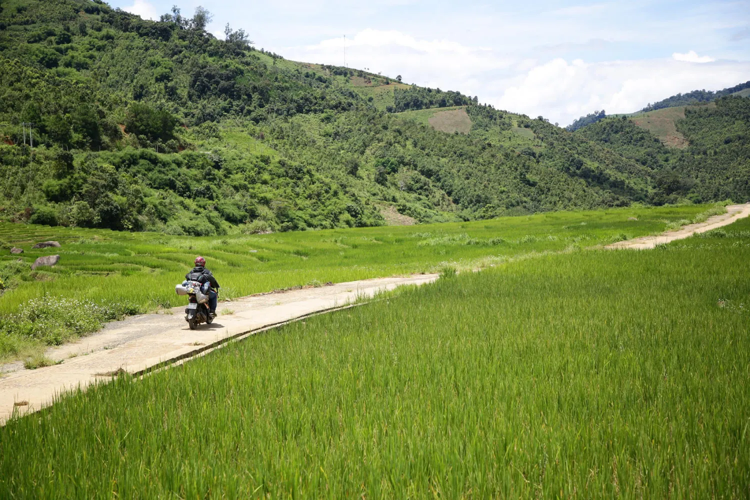 Chiêm ngưỡng Ruộng bậc thang Ngọc Linh đẹp mê hồn trên cao nguyên hùng vĩ