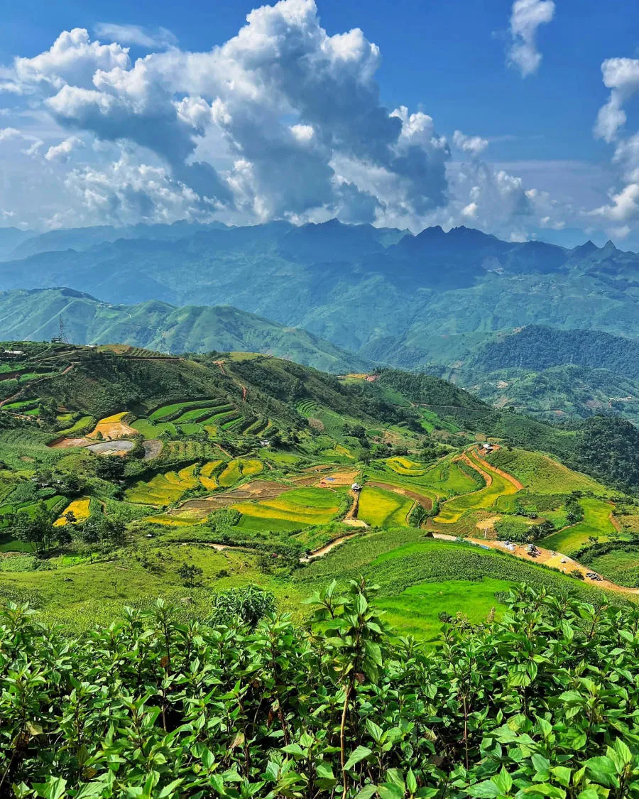 Chiêm ngưỡng Tà Xùa ngày không mây vẫn đẹp tuyệt sắc