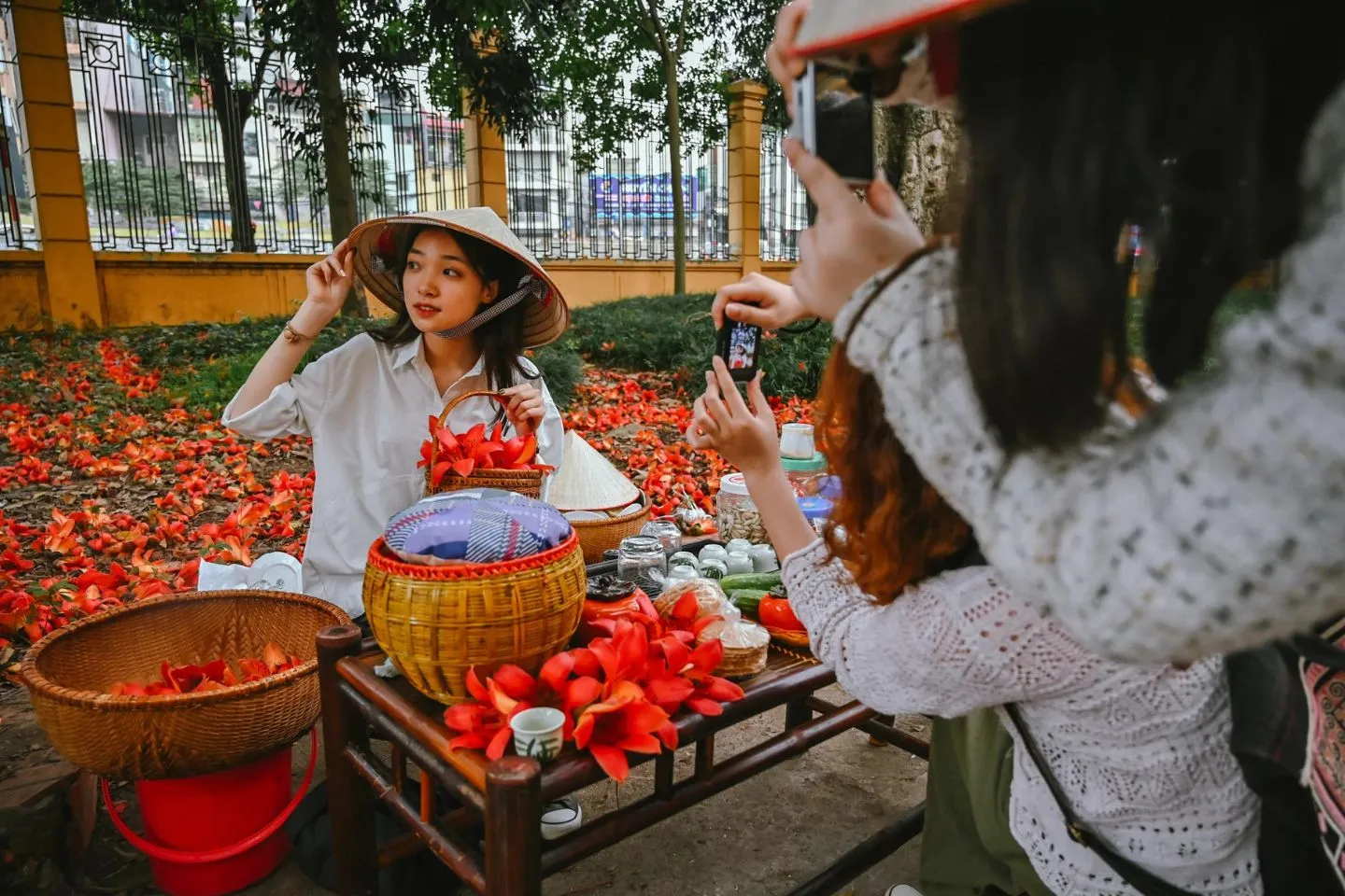 Chiêm ngưỡng vẻ đẹp lâu đời của cây hoa gạo cổ thụ ở Hà Nội