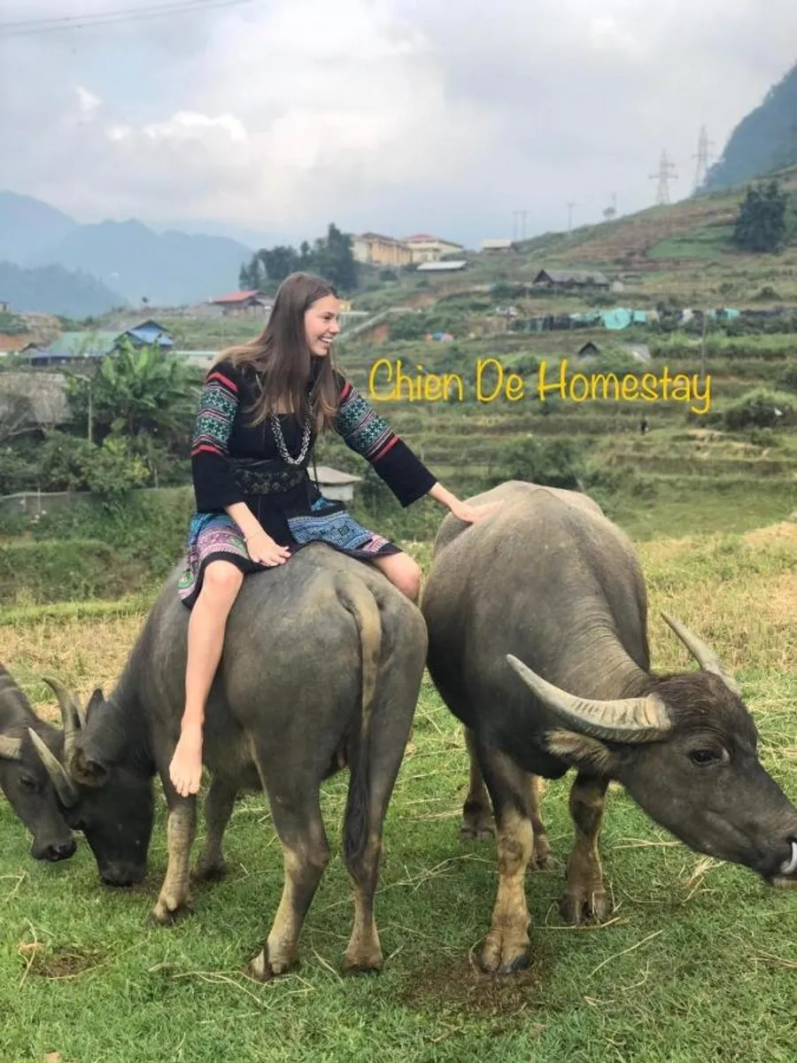 ChienDe Homestay, địa điểm lưu trú giá rẻ ngay sát núi Fansipan