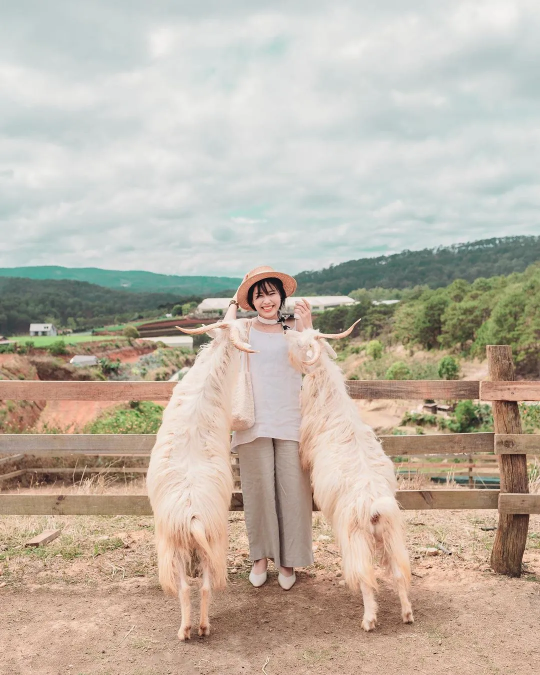 Chika Farm Đà Lạt, trải nghiệm làm nông dân sống ảo tại trang trại châu Âu