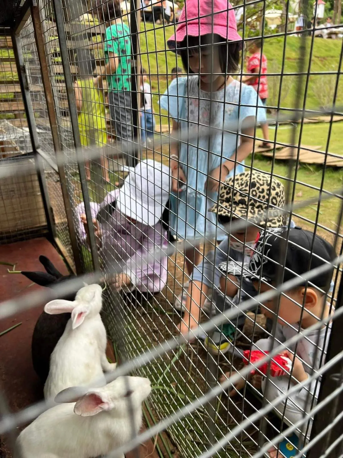 Chill cùng Thông Farm, quán cà phê phố núi nghìn view