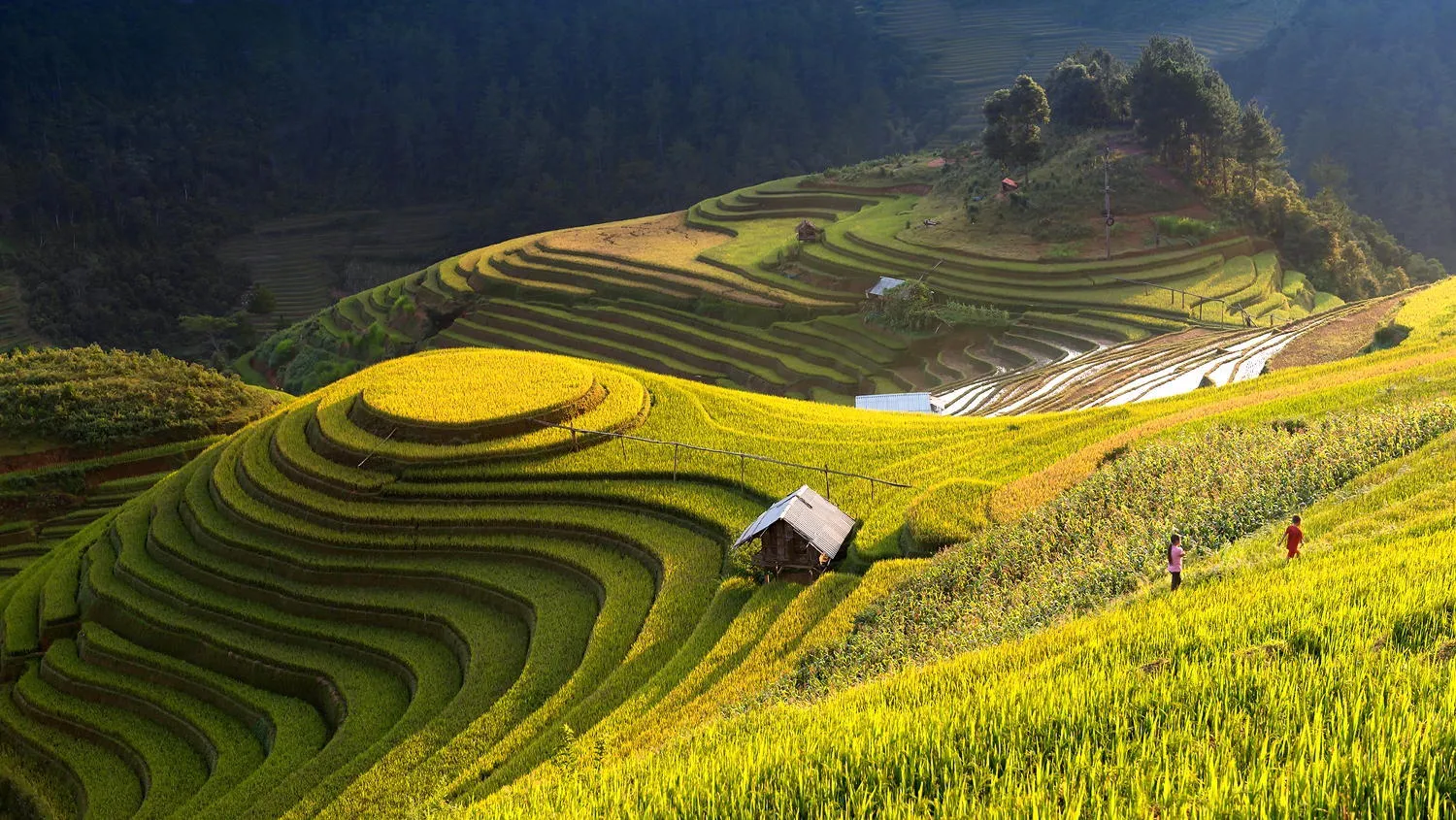 Chinh phục Đèo Mã Pì Lèng – ‘Tứ đại đỉnh đèo’ của vùng núi đất Bắc