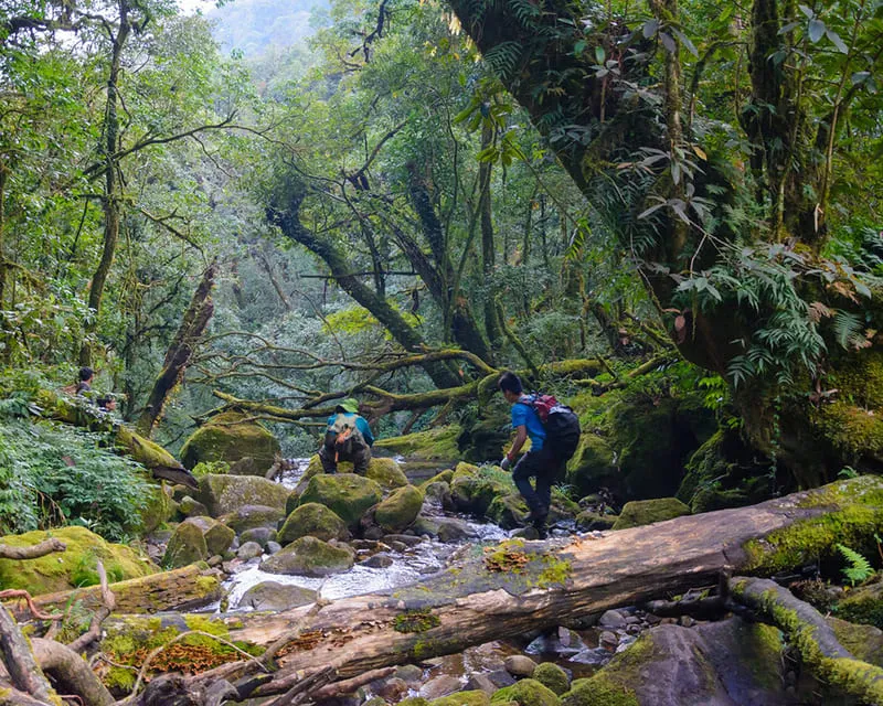 Chinh phục Đỉnh Nam Kang Ho Tao, kỳ quan trekking Lai Châu