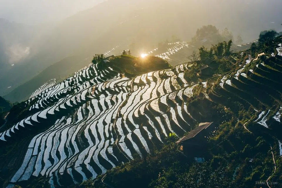 Chinh phục miền đất vỏ cây vàng với lịch trình trekking Hoàng Su Phì tự túc 3N2Đ