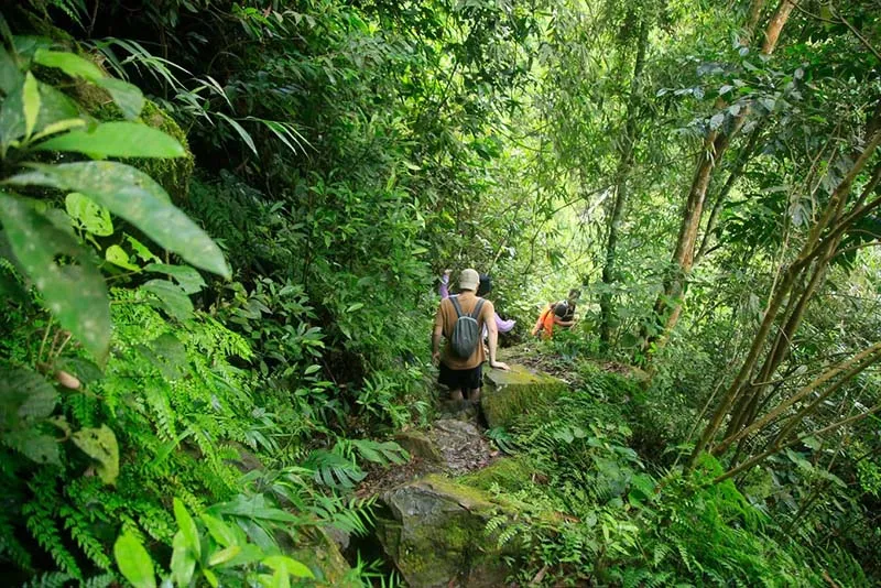 Chinh phục suối Cửa Tử và hành trình trekking thú vị