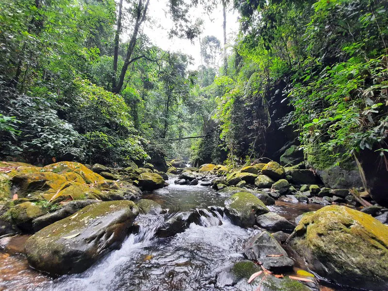 Chinh phục suối Cửa Tử và hành trình trekking thú vị