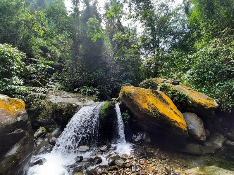 Chinh phục suối Cửa Tử và hành trình trekking thú vị