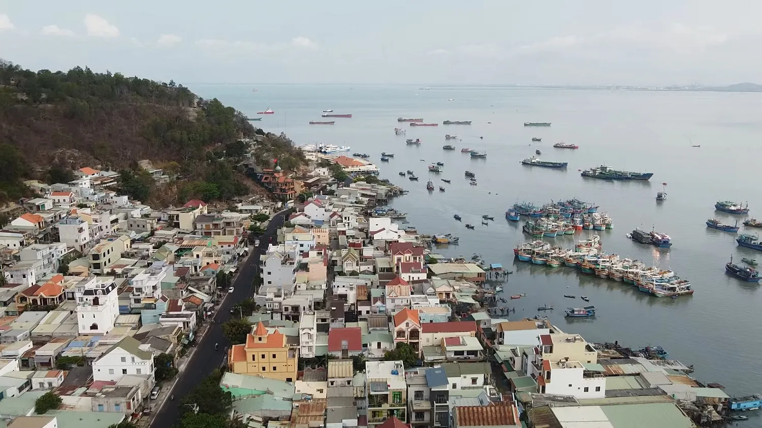 Chợ Bến Đá Vũng Tàu và những trải nghiệm thú vị tại một trong những thiên đường hải sản bậc nhất Vũng Tàu