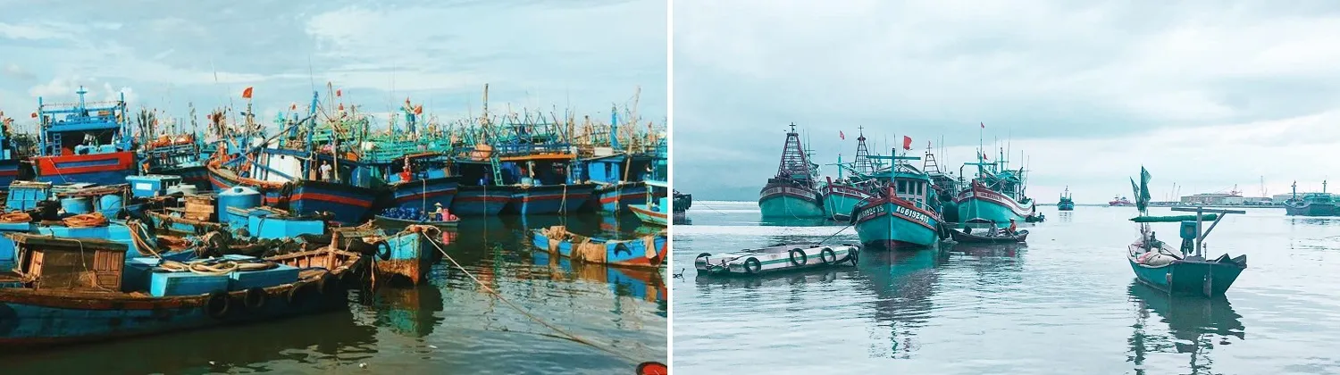 Chợ Bến Đá Vũng Tàu và những trải nghiệm thú vị tại một trong những thiên đường hải sản bậc nhất Vũng Tàu