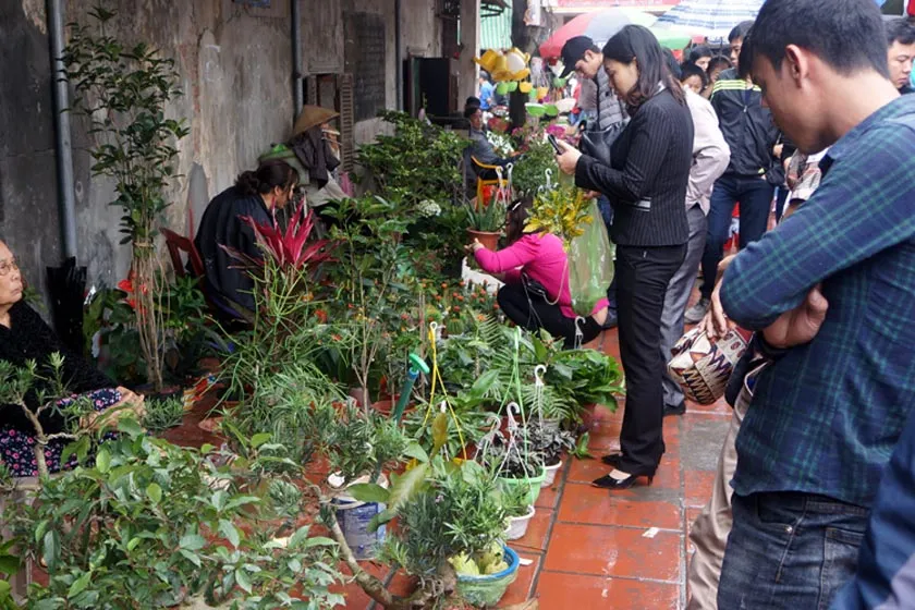 Chợ Hàng độc đáo mỗi tuần chỉ họp một lần tại Hải Phòng