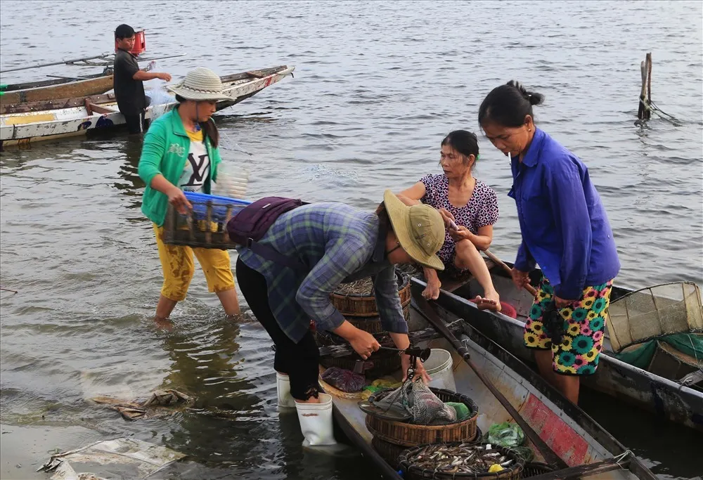 Chợ nổi Ngư Mỹ Thạnh – Tham quan chợ quê độc đáo miền sông nước