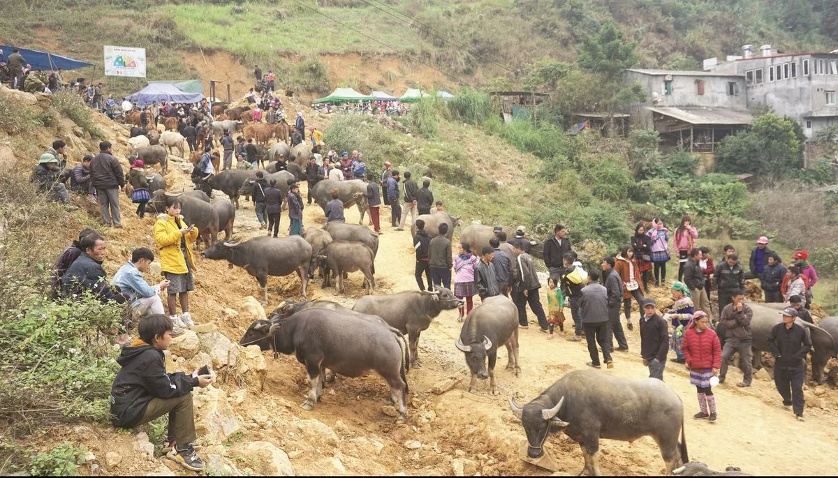 Chợ phiên Cán Cấu Sapa – Nét đẹp chợ phiên vùng cao