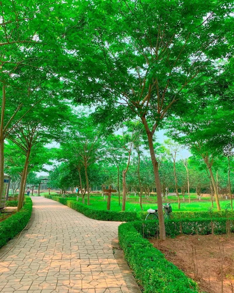 Có gì tại Phù Đổng Green Park, khu du lịch Hà Nội nổi tiếng