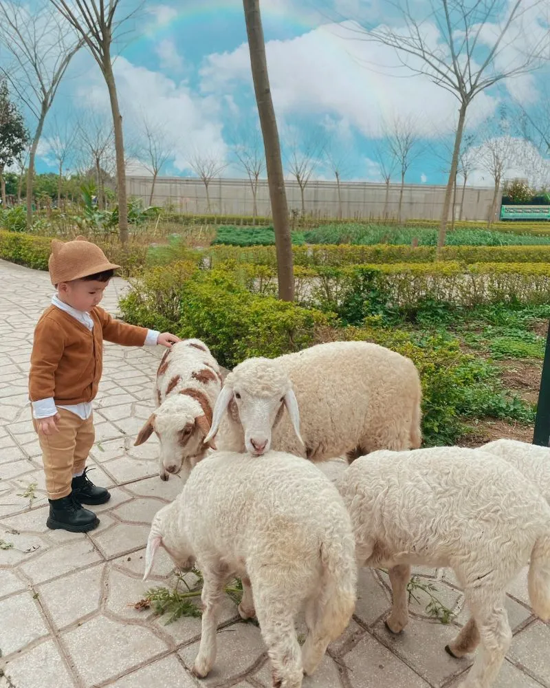 Có gì tại Phù Đổng Green Park, khu du lịch Hà Nội nổi tiếng