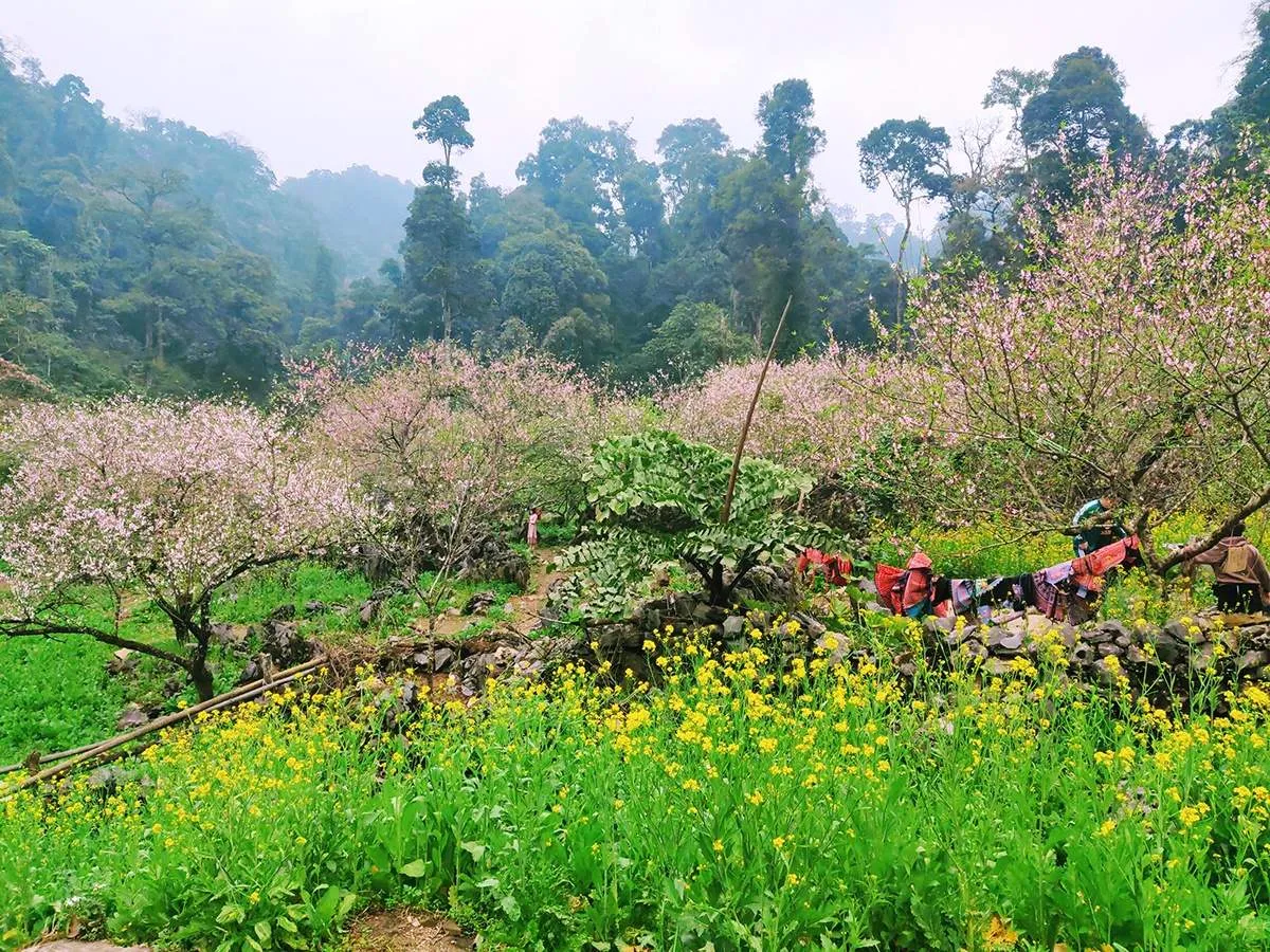 Có một Bản Lóng Luông với cảnh sắc thơ mộng khiến bao người thương nhớ