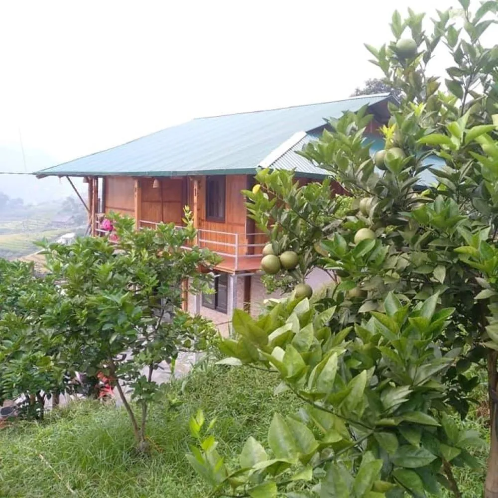 Có một Sapa Orange Homestay thân thuộc và gần gũi đến lạ