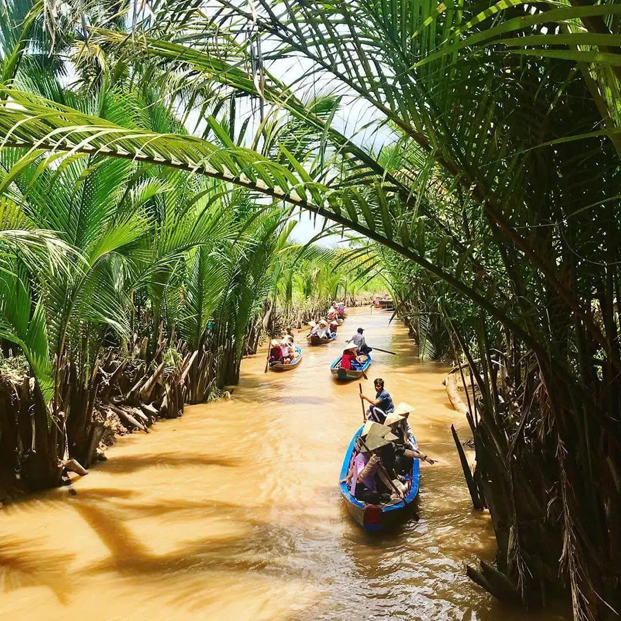 Có nên đi tour Bến Tre 1 ngày và những kinh nghiệm bạn cần biết