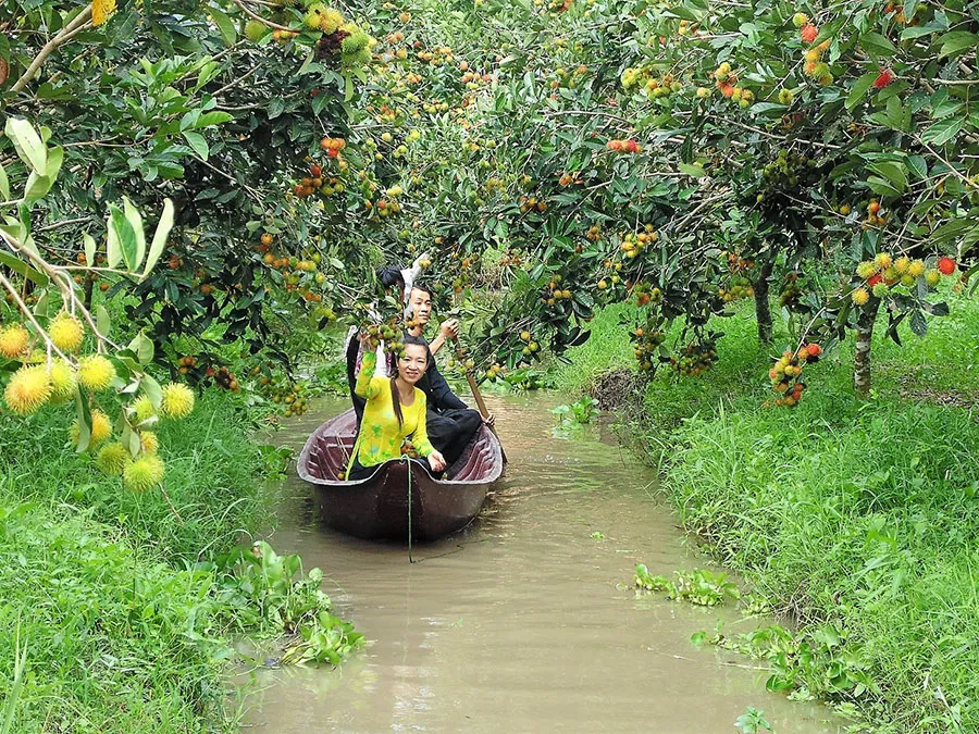 Có nên đi tour Bến Tre 1 ngày và những kinh nghiệm bạn cần biết