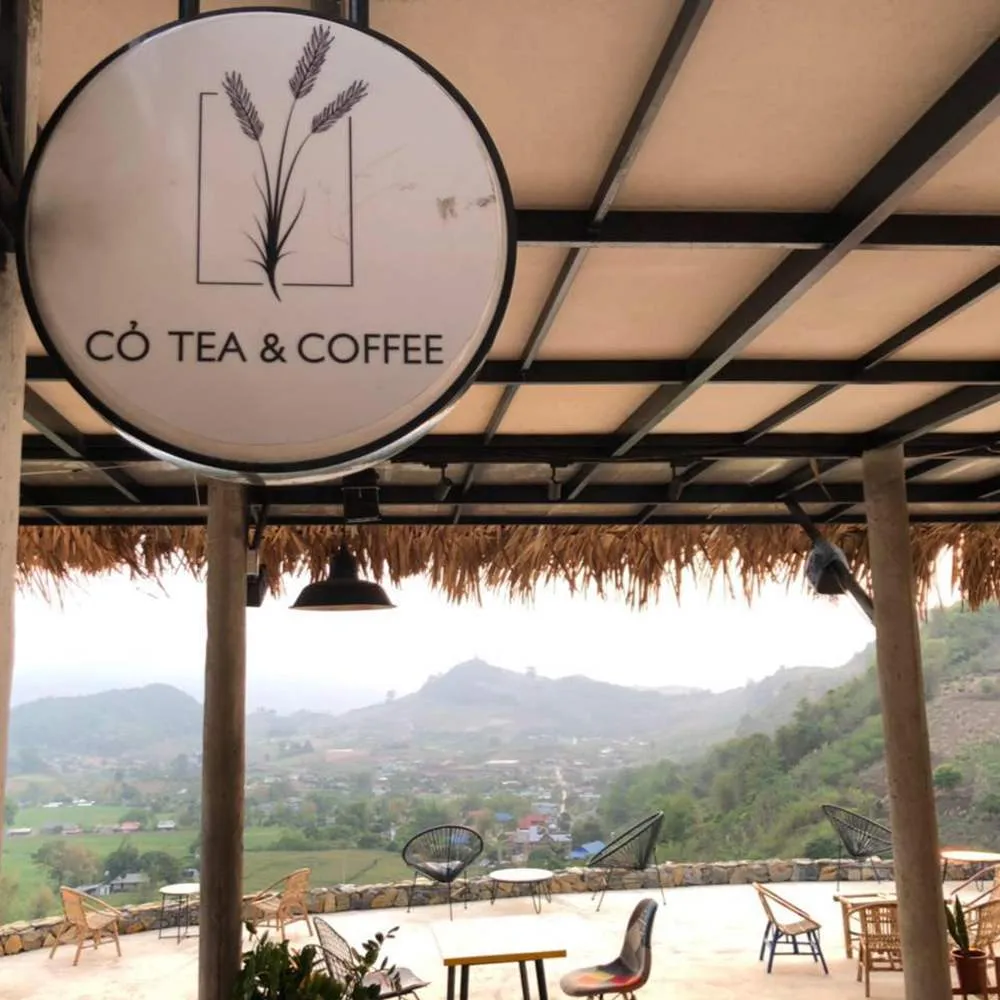 Cỏ Tea & Coffee – Thưởng thức cà phê giữa lưng chừng đồi