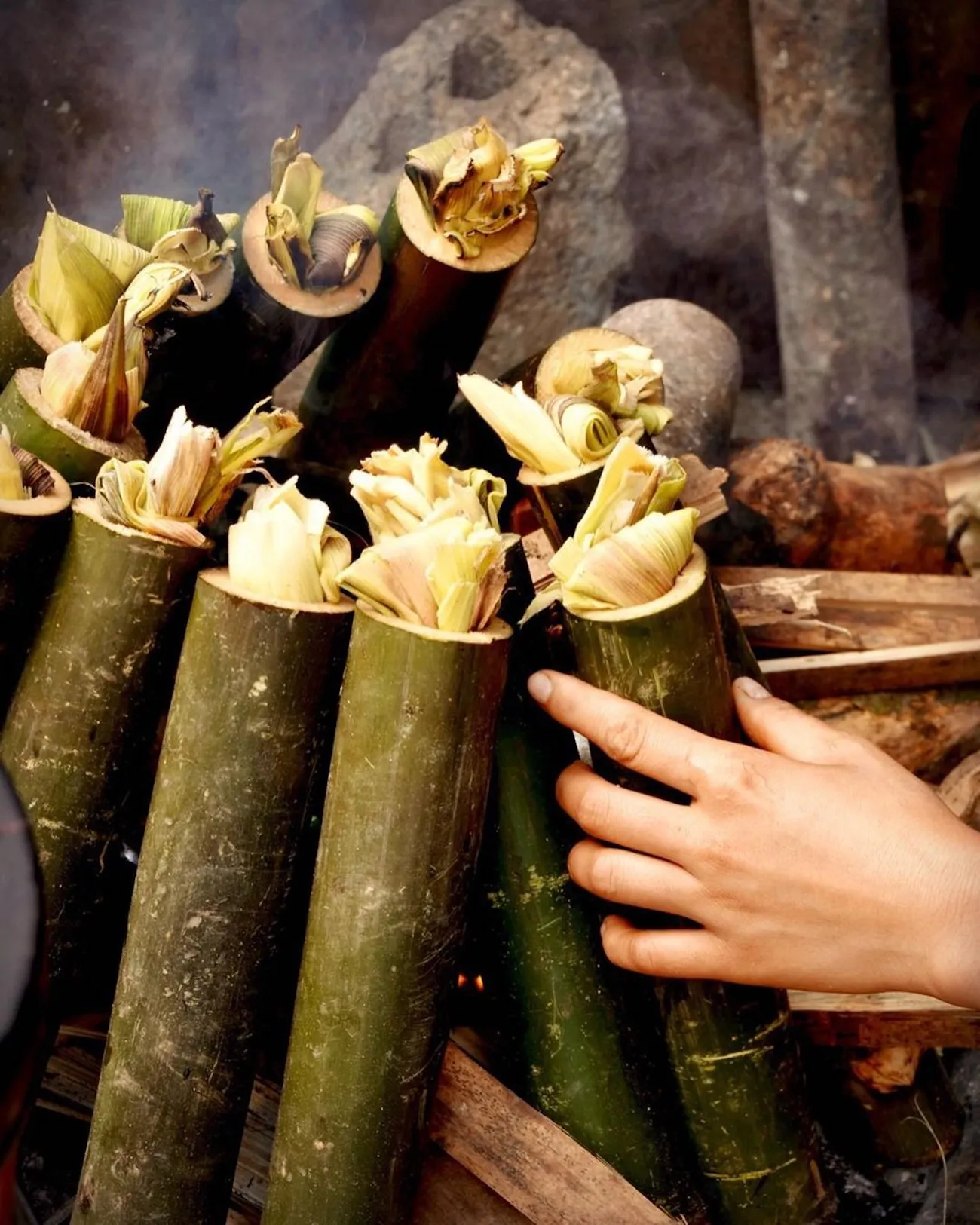 Cơm lam Bắc Mê – Món ngon giản dị của vùng cao Đông Bắc