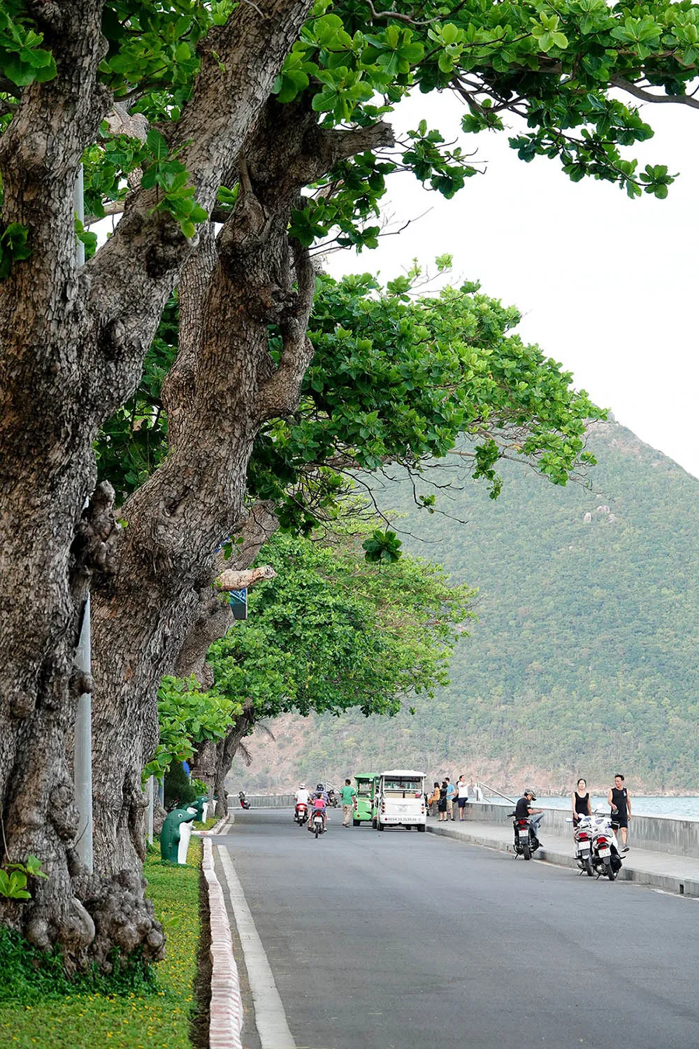 Côn Đảo mùa biển động, đâu cần nắng nơi đây mới mộng mơ