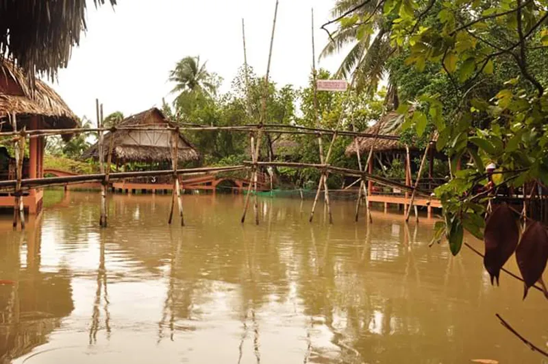 Cồn Quy Bến Tre và không gian thanh bình đậm chất sông nước