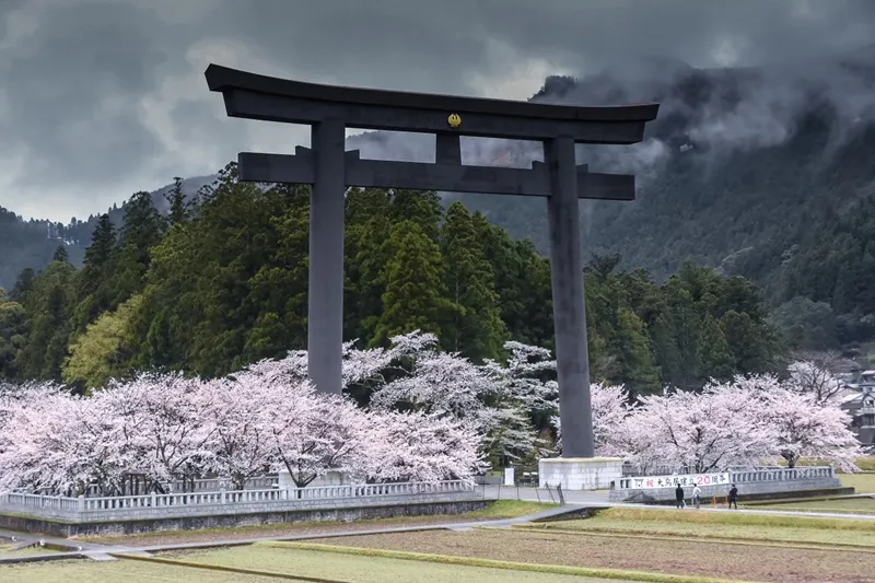 Cổng Torii Nhật Bản nơi dẫn lối đến với các vị thần