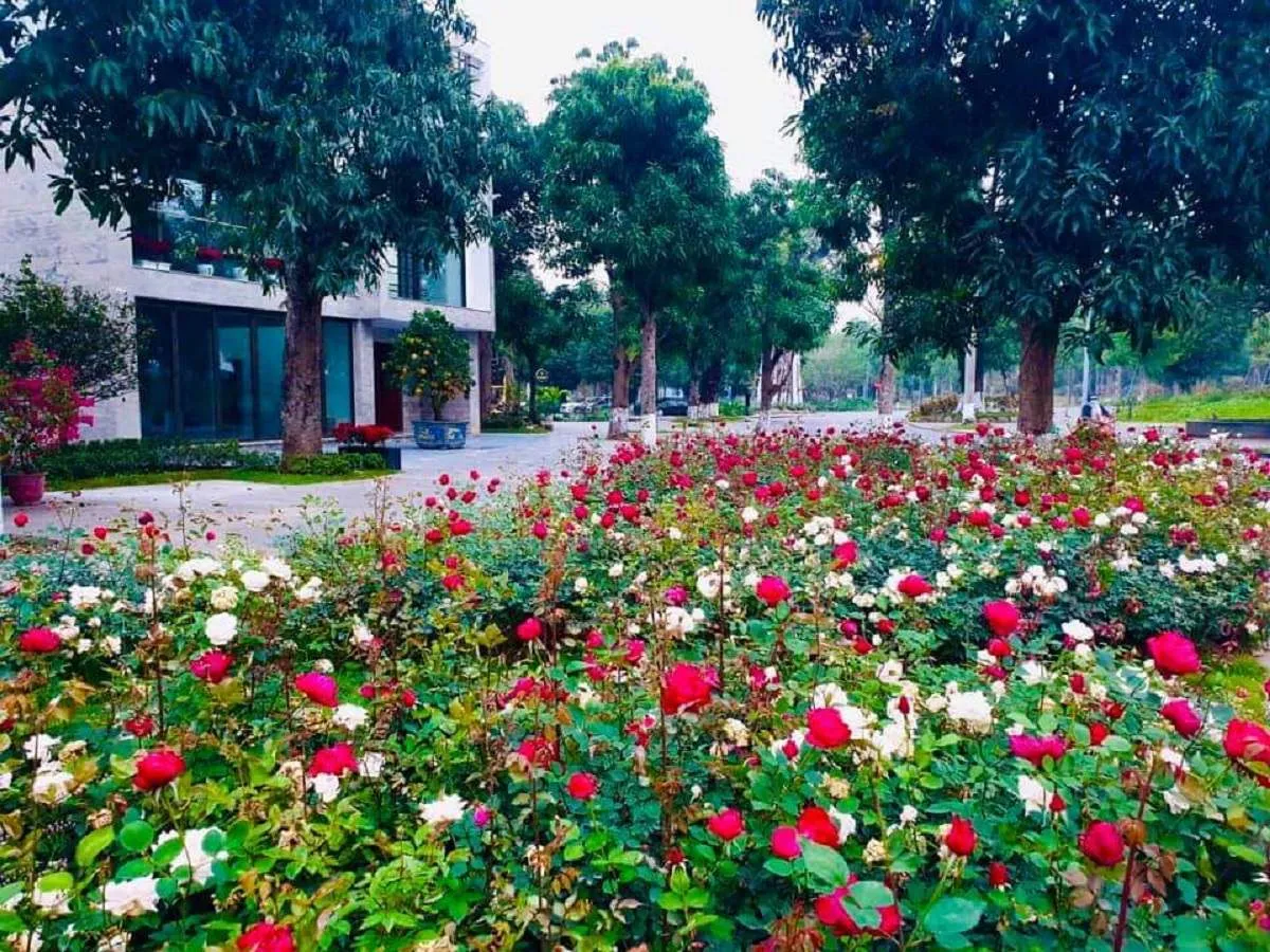 Công viên hoa hồng Rose Park – Mê cung hoa hồng nổi bật giữa lòng Hà Nội