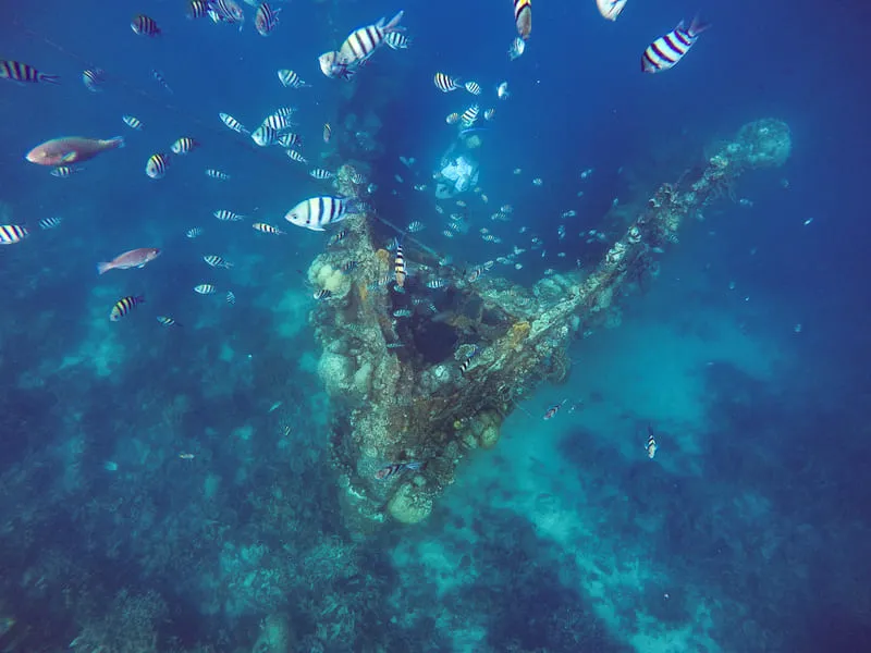 Coron Palawan, viên ngọc quý với sắc màu nguyên sơ của Philippines