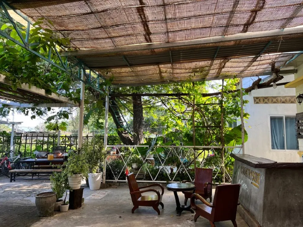 Countryside Homestay Phú Yên, âm hưởng của làng quê thanh bình xứ hoa vàng cỏ xanh