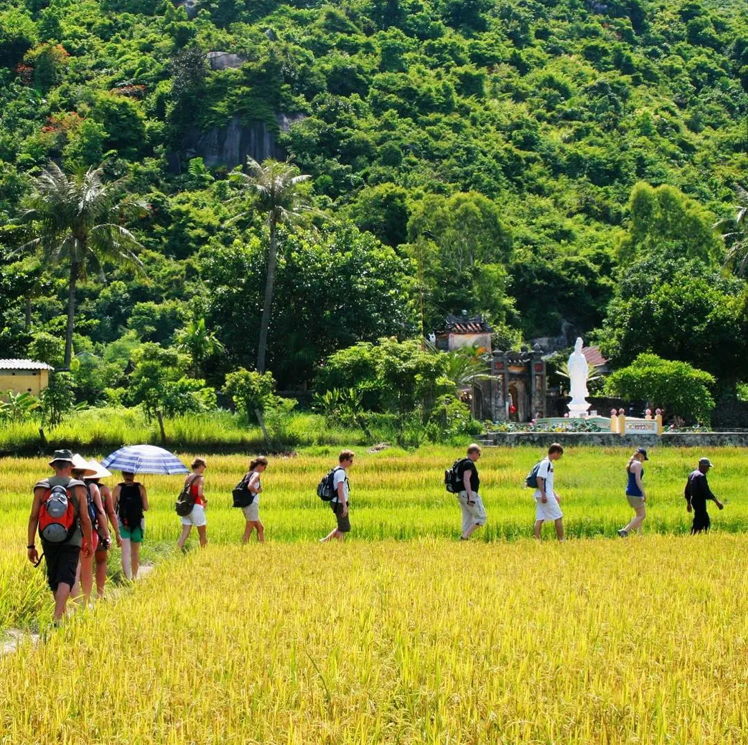 Cù lao Chàm Hội An – Khám phá khu dự trữ sinh quyển trong xanh của thế giới