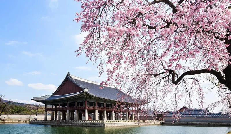 Cung điện Gyeongbokgung, viên ngọc quý của du lịch Đại Hàn