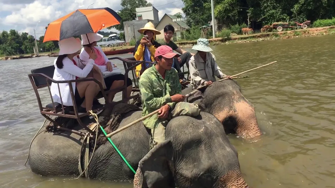 Cùng MIA.vn du lịch Buôn Đôn để khám phá vẻ đẹp rừng xanh