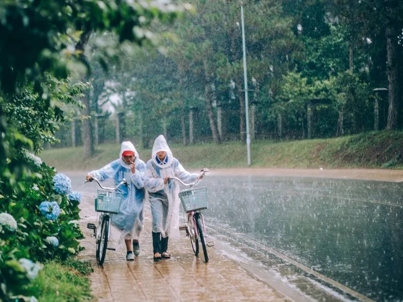 Đà Lạt mùa nào đẹp nhất? Bí quyết khám phá thành phố mộng mơ