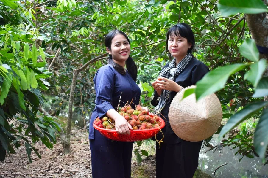 Đặc sắc Khu Du Lịch Vinh Sang Vĩnh Long đậm chất miền Tây sông nước