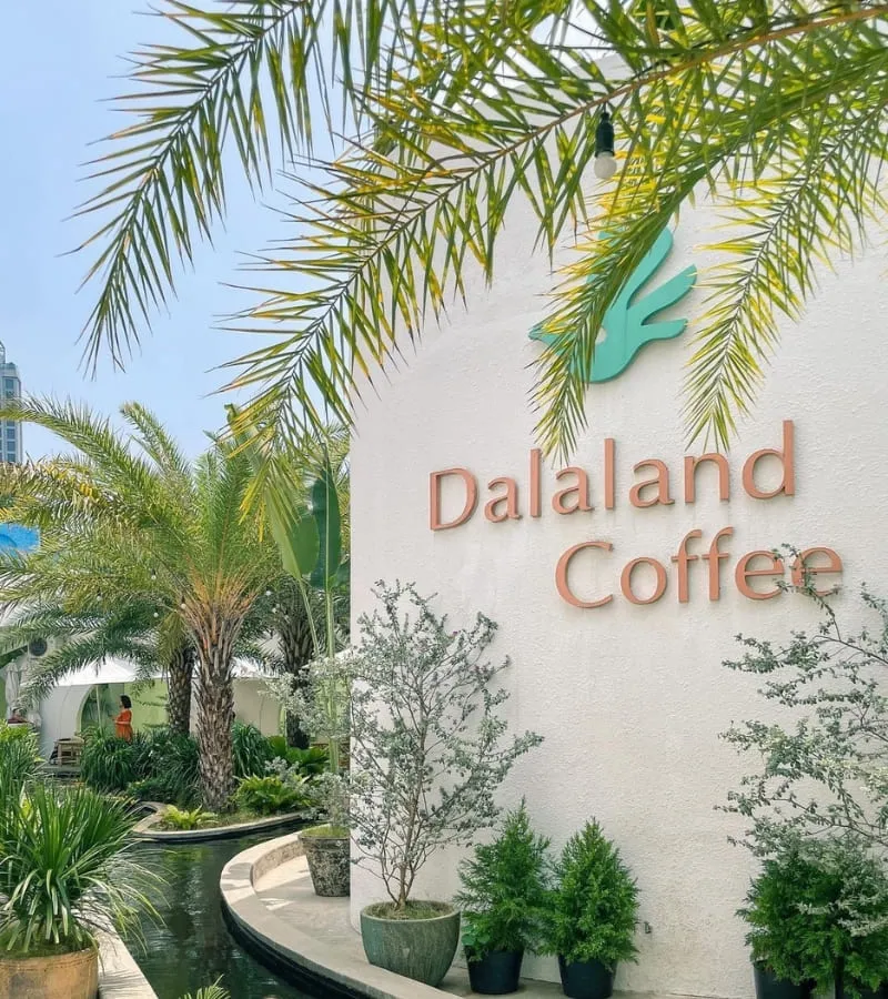 Dalaland Coffee, ốc đảo Địa Trung Hải cực hot giữa thành phố