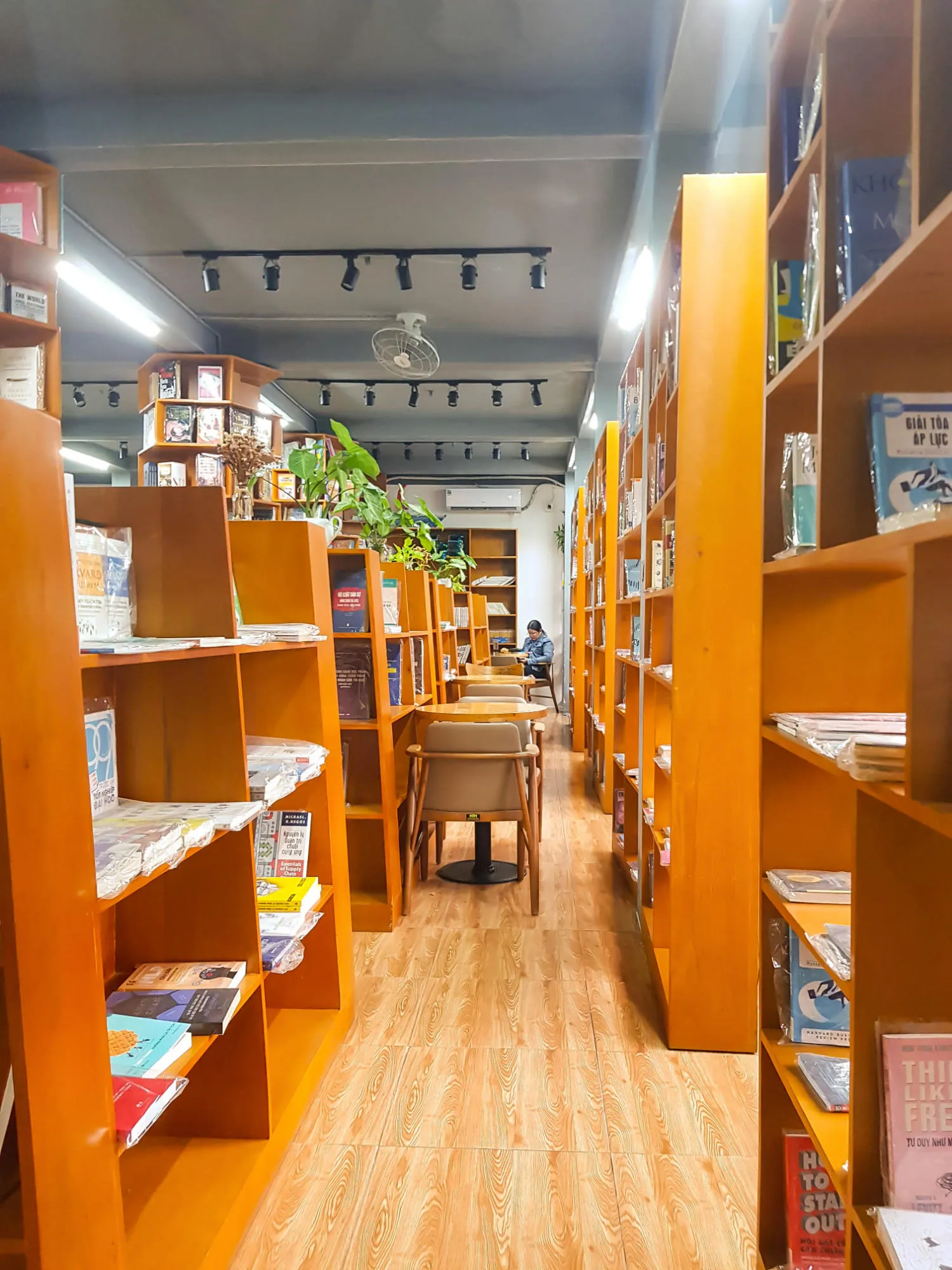 Đắm chìm trong Đại Việt Bookstore and Coffee thanh bình giữa lòng thành phố