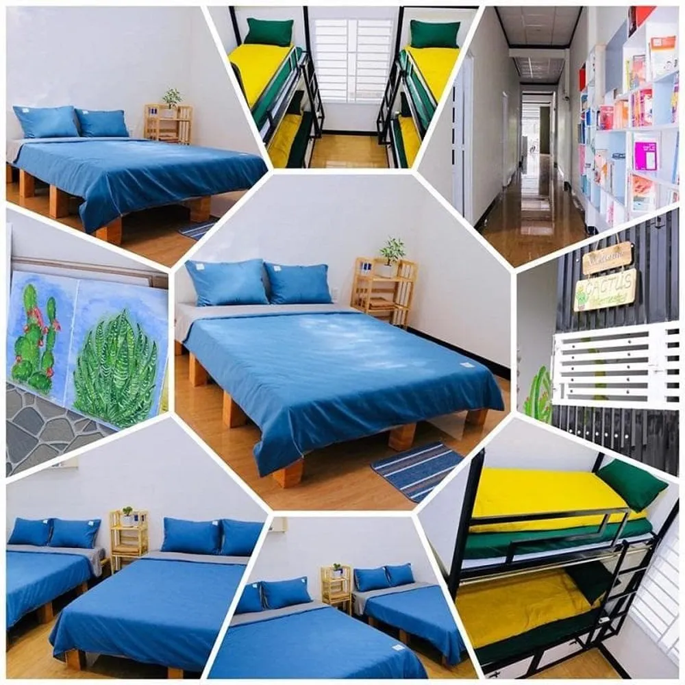 Đến Cactus homestay để trải nghiệm dịch vụ lưu trú giá rẻ, chất lượng cao