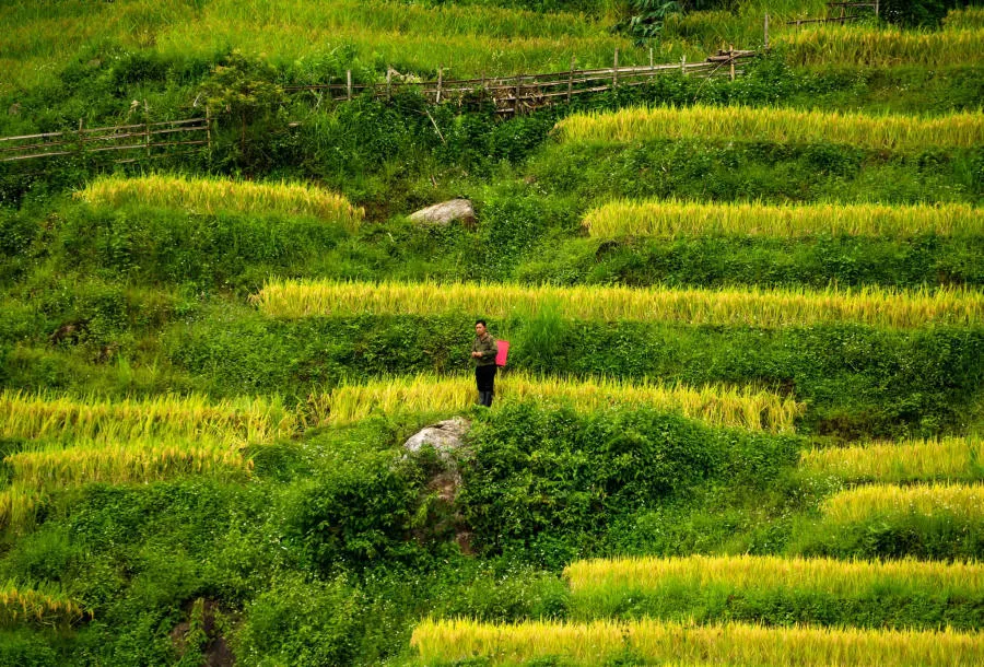 Đến Chợ phiên Y Tý khám phá sắc màu vùng cao