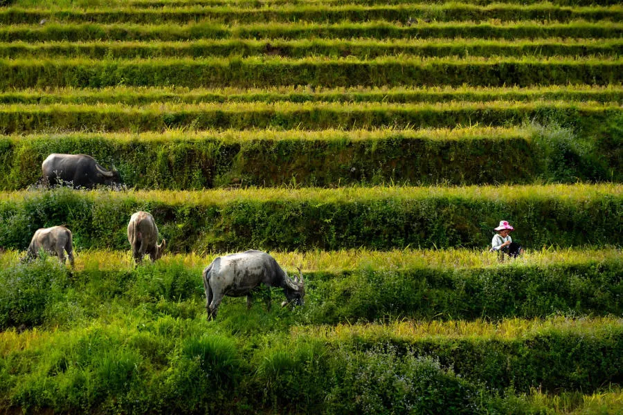 Đến Chợ phiên Y Tý khám phá sắc màu vùng cao