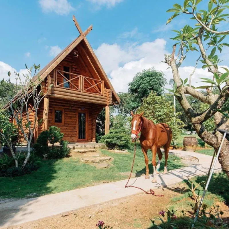 Đến Greenfield Farmstay trải nghiệm cuộc sống nông thôn