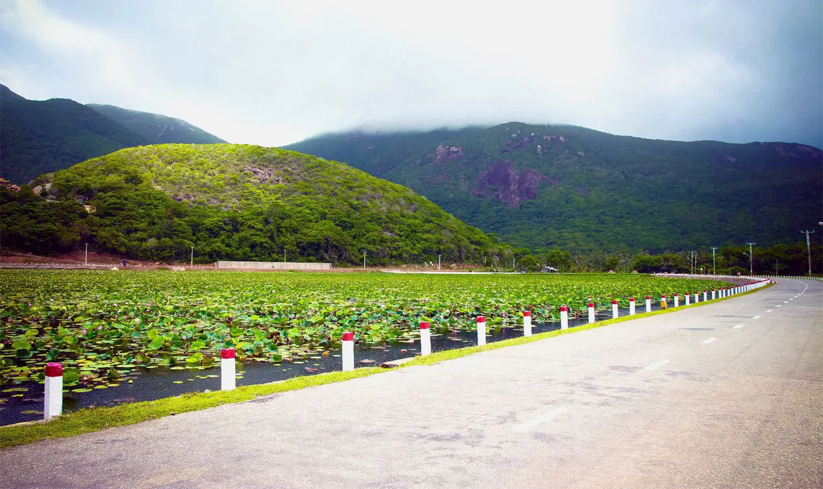 Đến Hồ Sen An Hải Côn Đảo chiêm ngưỡng vẻ đẹp tự nhiên thuần khiết